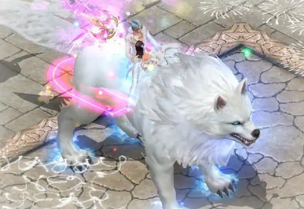 镜头中透露了许多让人忍俊不禁的信息这款由魔域出品的狗粮